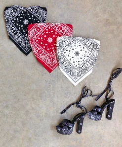 Lorlie BANDANA CLEAR STRAPS CROP TOP